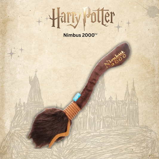 Le Nimbus 2000™