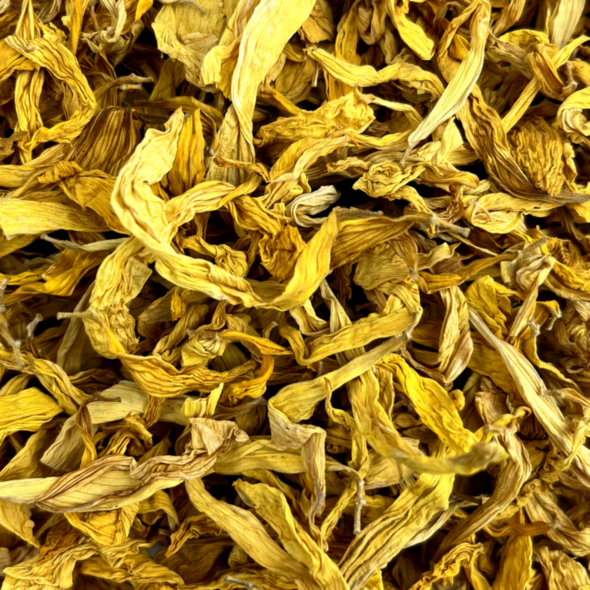 Friandise séchée et naturelle pour lapin Pétales de tournesol
Friandises naturelles pour lapin – enrichissement  et bien-être digestif