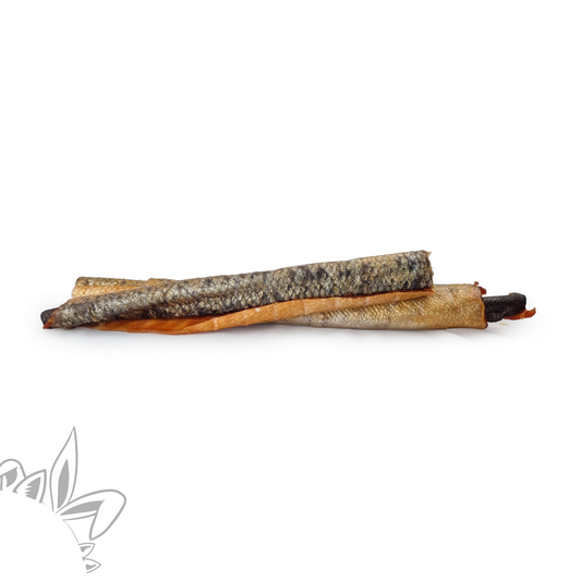 Peau de saumon pour chien
