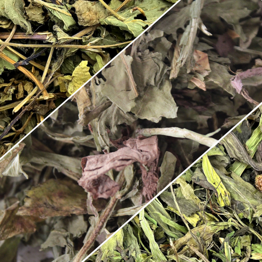 Mix friandises pour lapin
Friandise séchée et naturelle pour lapin plantain, menthe poivrée et pissenlit
Friandises naturelles pour lapin – enrichissement  et bien-être digestif