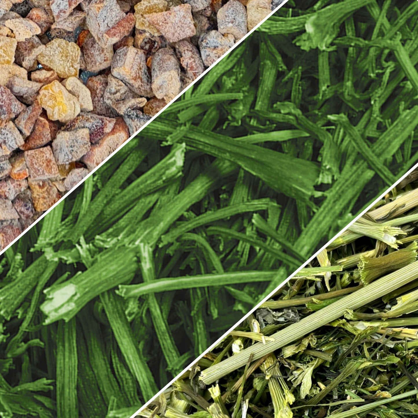 Astic'mix Verger enchanté