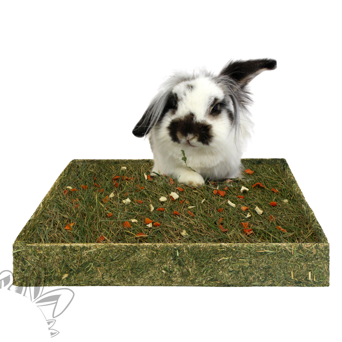 tapis à fouiller pour lapin JR FARM aux légumes