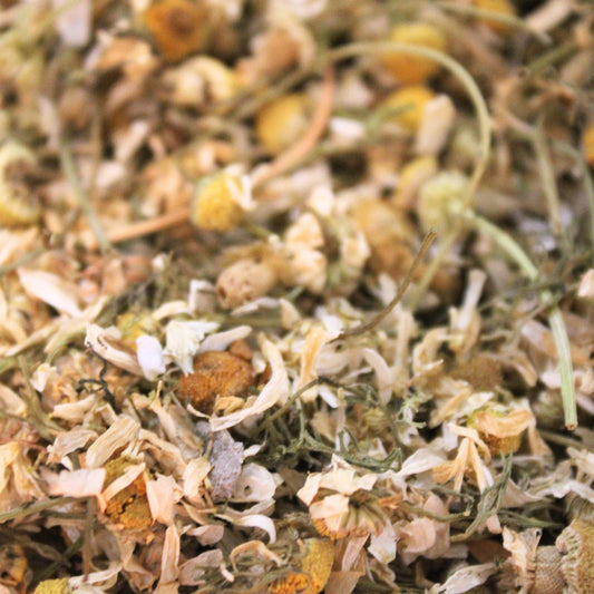Friandises naturelles pour lapin : fleurs de camomille séchées

Les fleurs de camomille séchées sont riches en fibres, ce qui contribue au bon fonctionnement du transit de votre lapin. Elles sont riches en antioxydants, qui aident à combattre les radicaux libres et à protéger les cellules des dommages.

Les fleurs de camomille détiennent des vertus apaisantes et anti inflammatoires ce qui en fait une friandise saine de choix pour les gourmands.