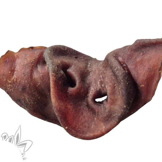 nez de porc, friandises et mastications naturelles pour chien