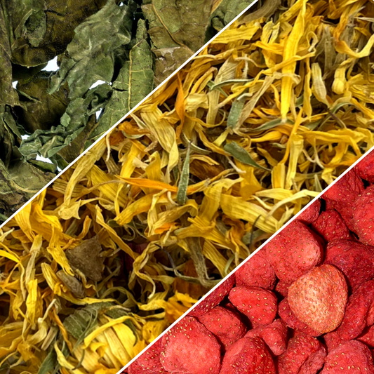 mix pour lapins friandises naturelles fraises fleurs de souci et echinacee
