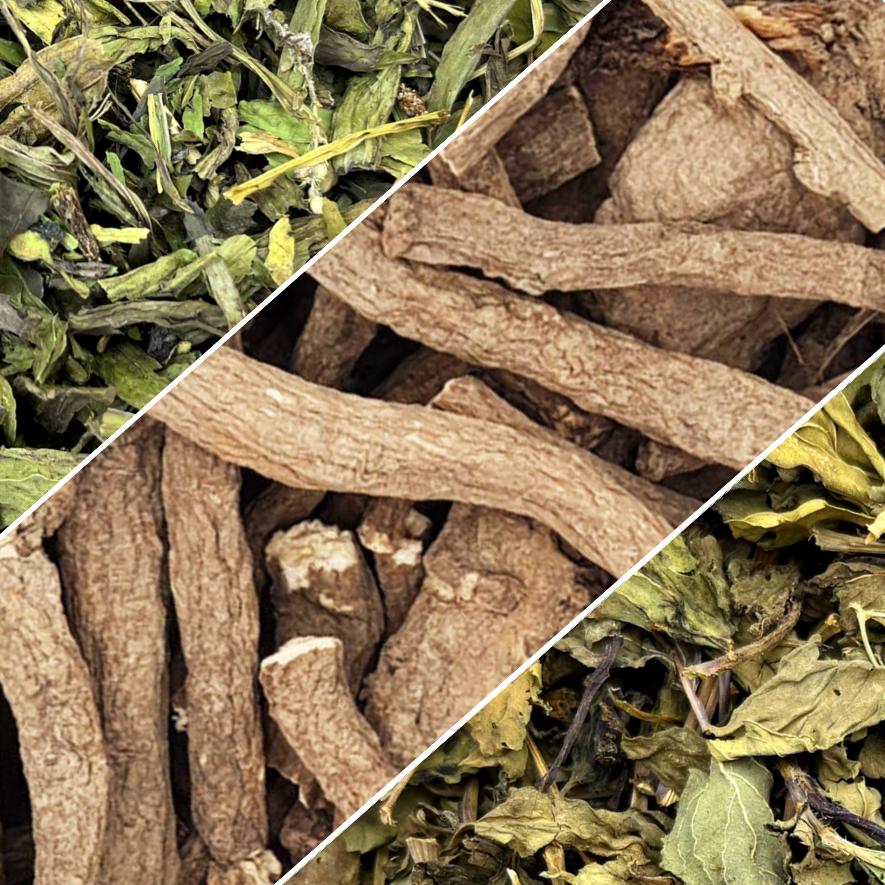 mix menthe plantain racine de pissenlit pour lapin