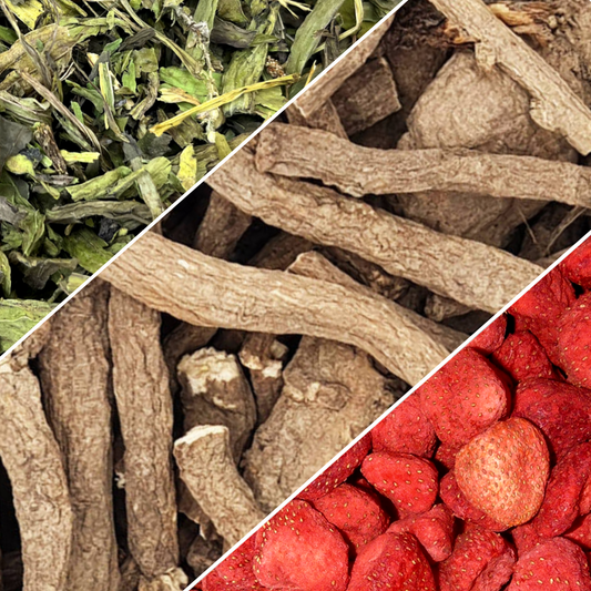 mix plantain fraise et racine de pissenlit pour lapin